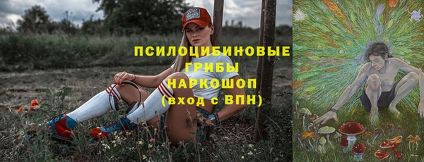 СК Богородицк