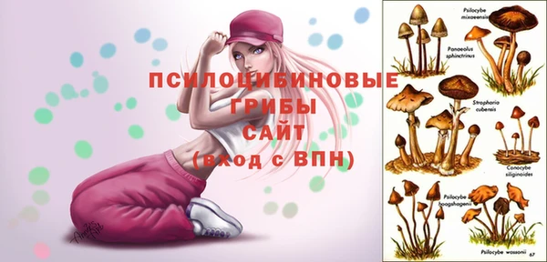 СК Богородицк